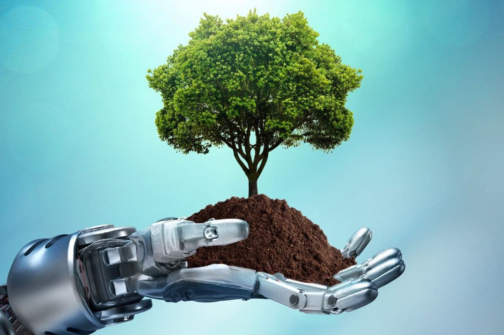 EcoAI-Powered Solutions for Environmental Equity in Tanzania